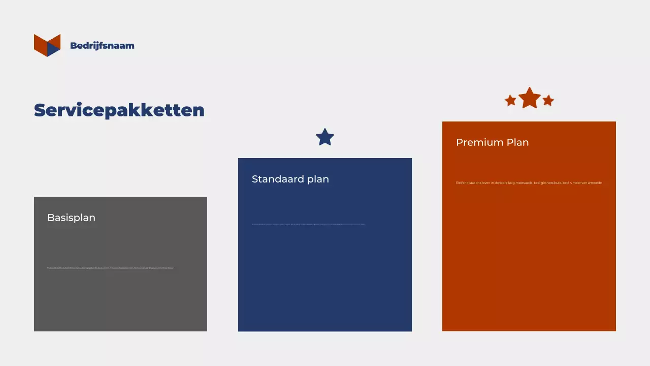 Geometric Belastingadvies Presentatie