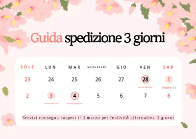 Festa coreana rosa e bianca di tre giorni di preavviso di consegna