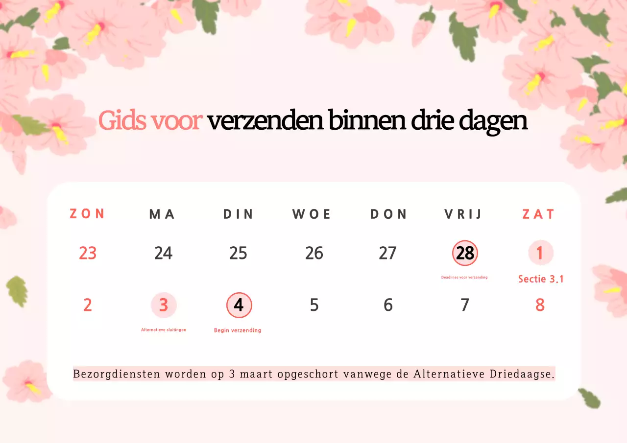 Roze en wit Koreaans festival van drie dagen leveringstermijn