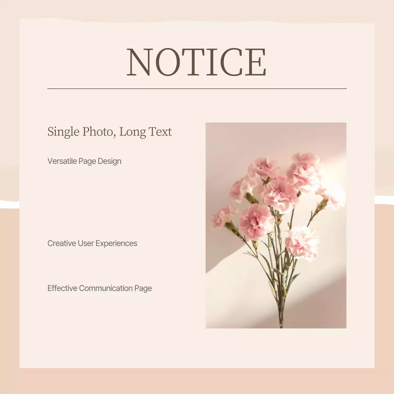 Promote your social media brand marketing with pink elegance