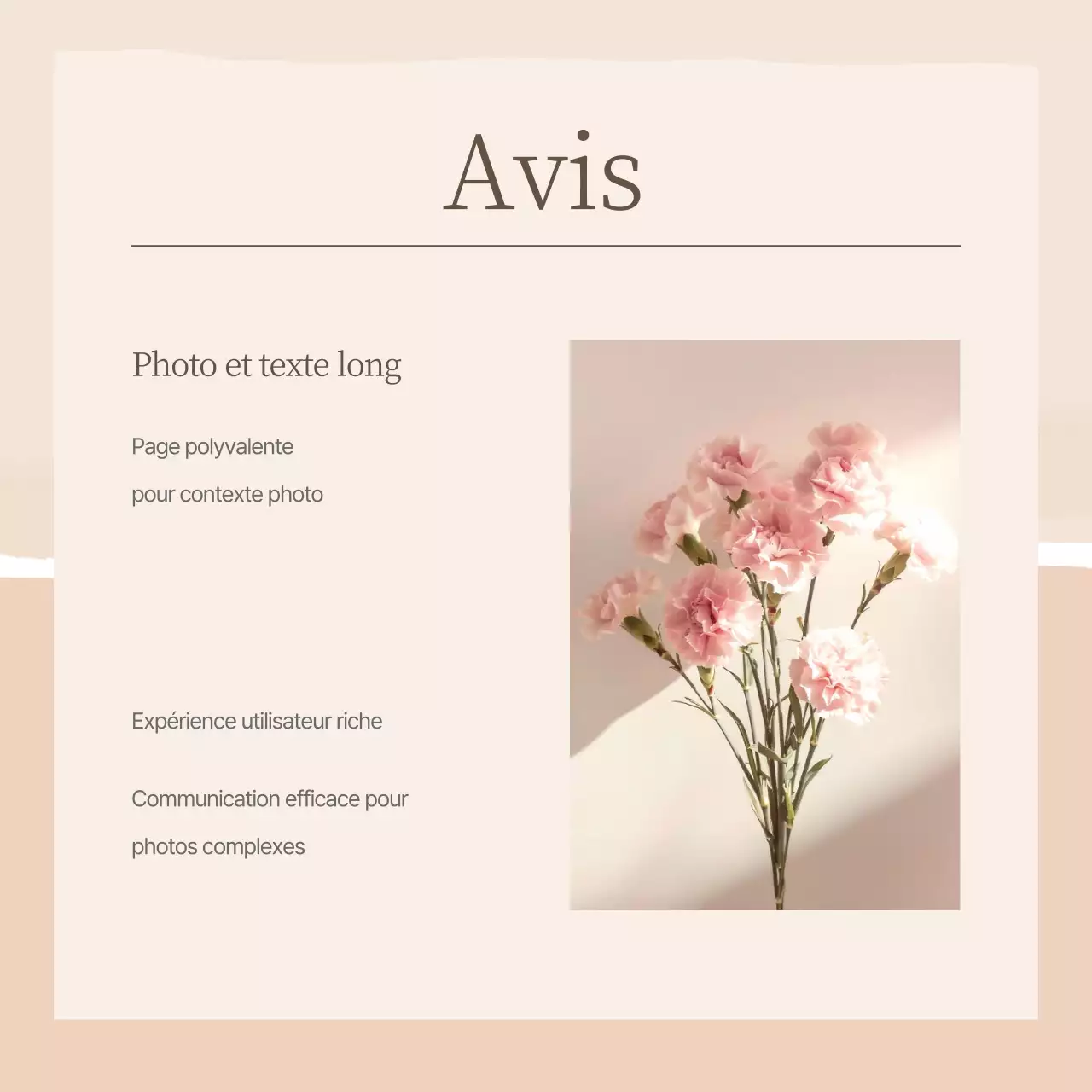 Élégant marketing de marque dans les médias sociaux en rose