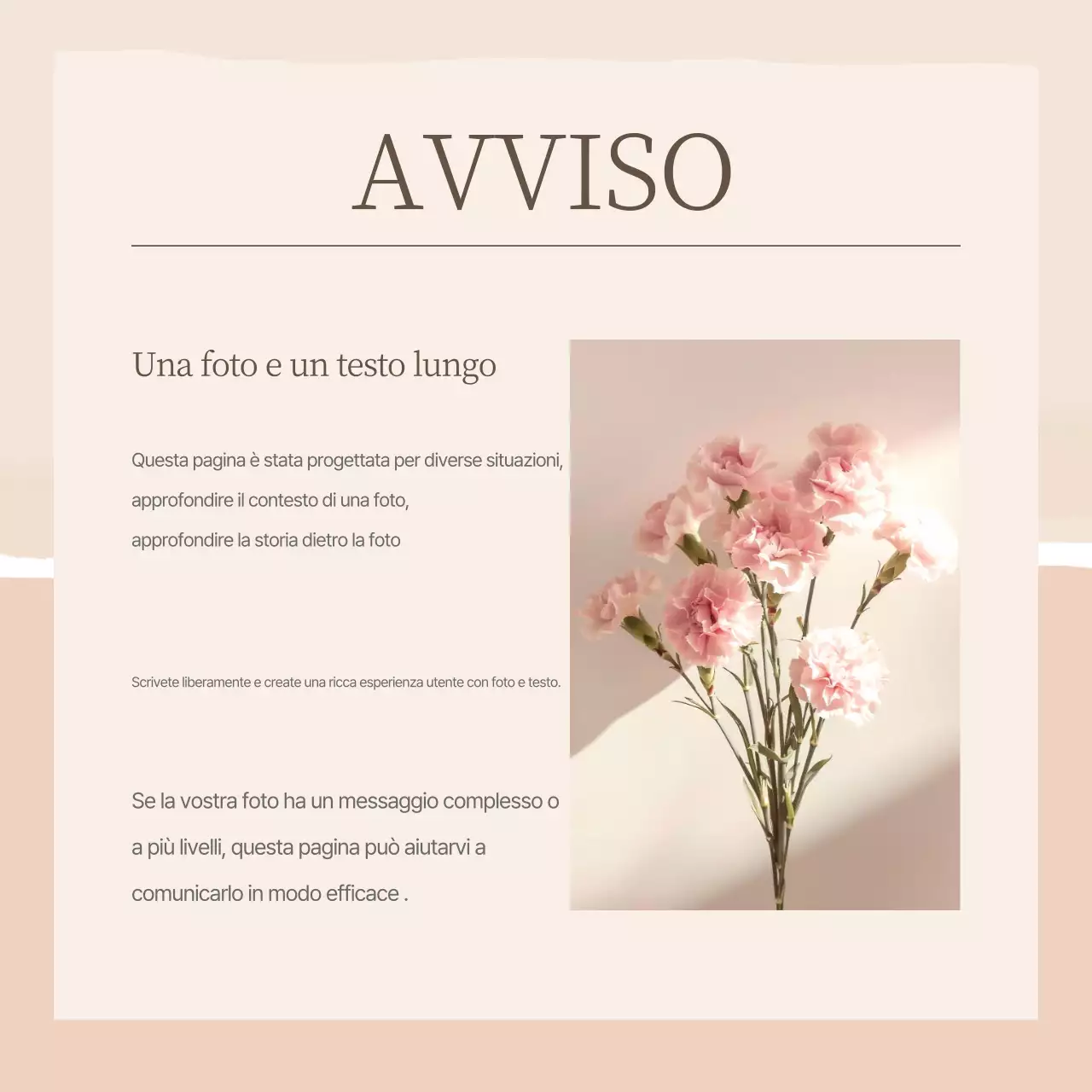 Elegante social media brand marketing in rosa