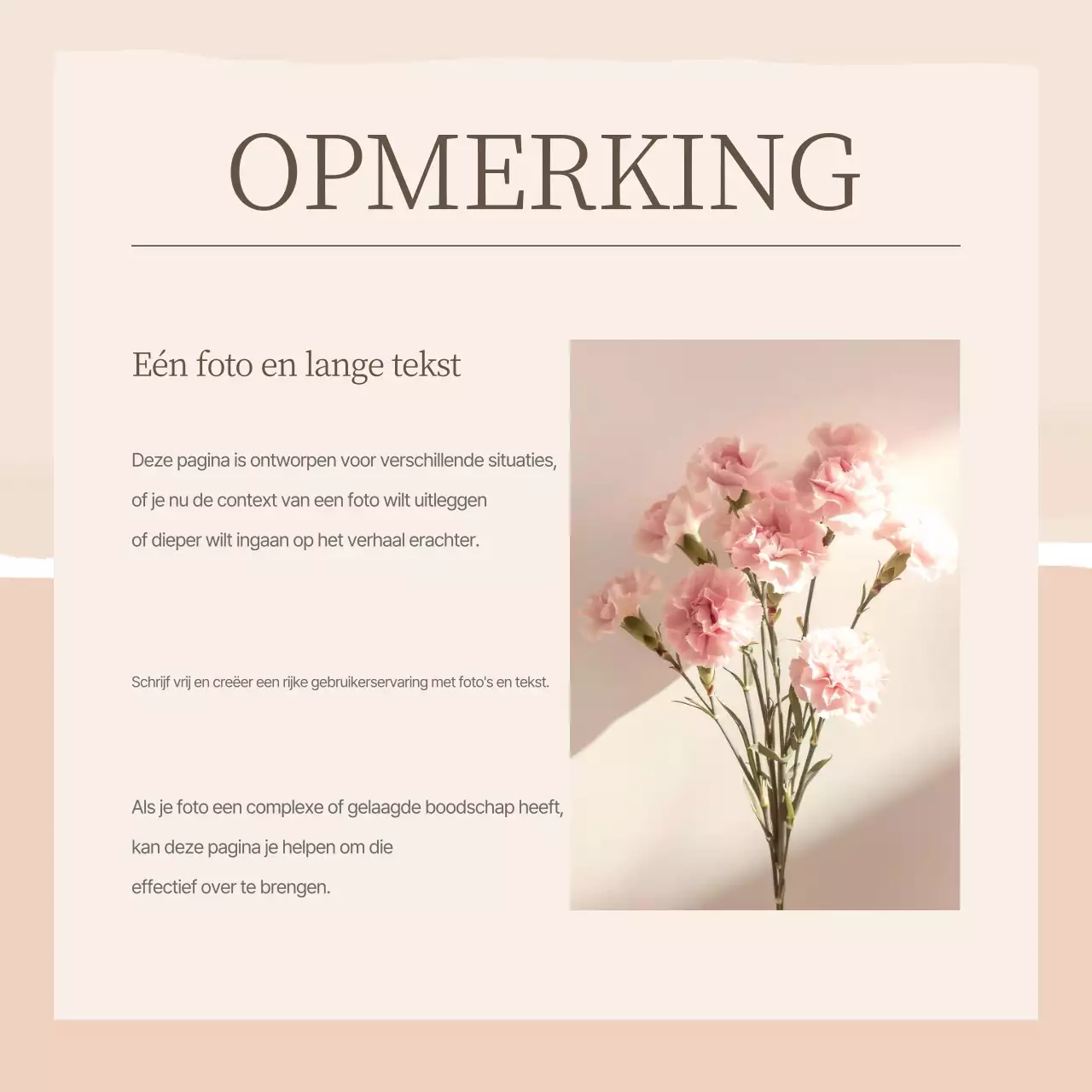 Elegante merkmarketing voor sociale media in roze