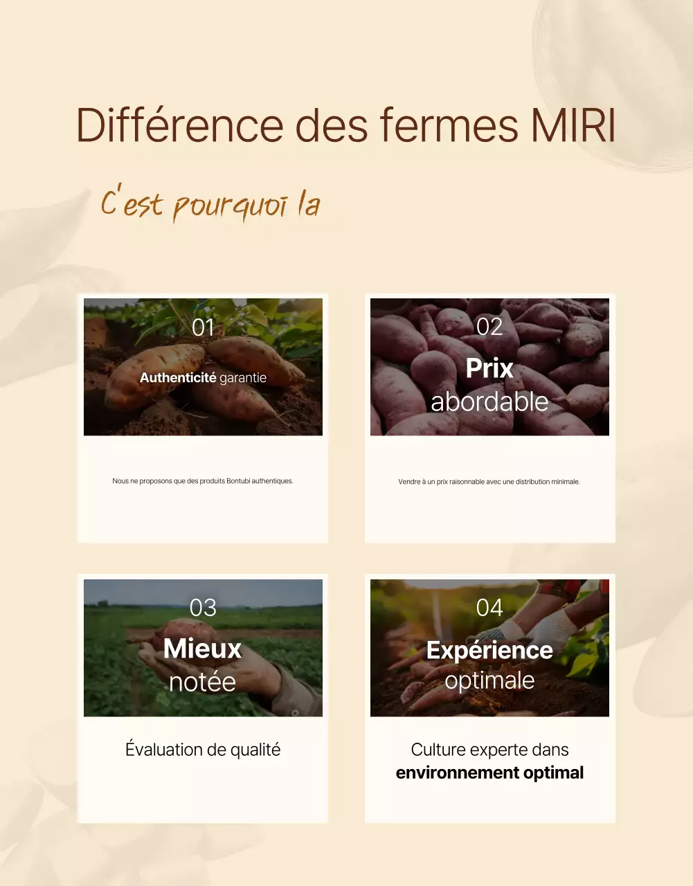 Annonce de produits traditionnels bruns