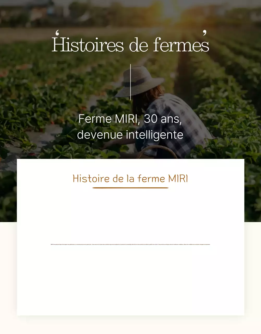 Annonce de produits traditionnels bruns