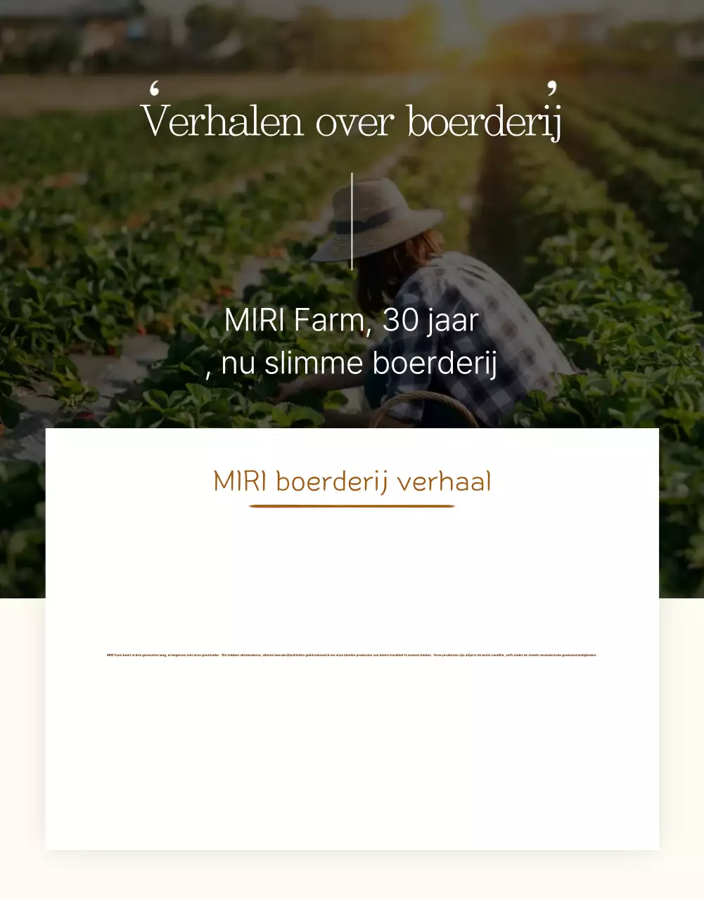 Bruine traditionele producten advertentie