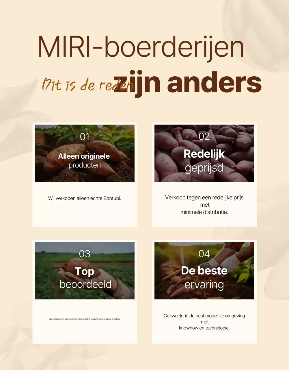 Bruine traditionele producten advertentie