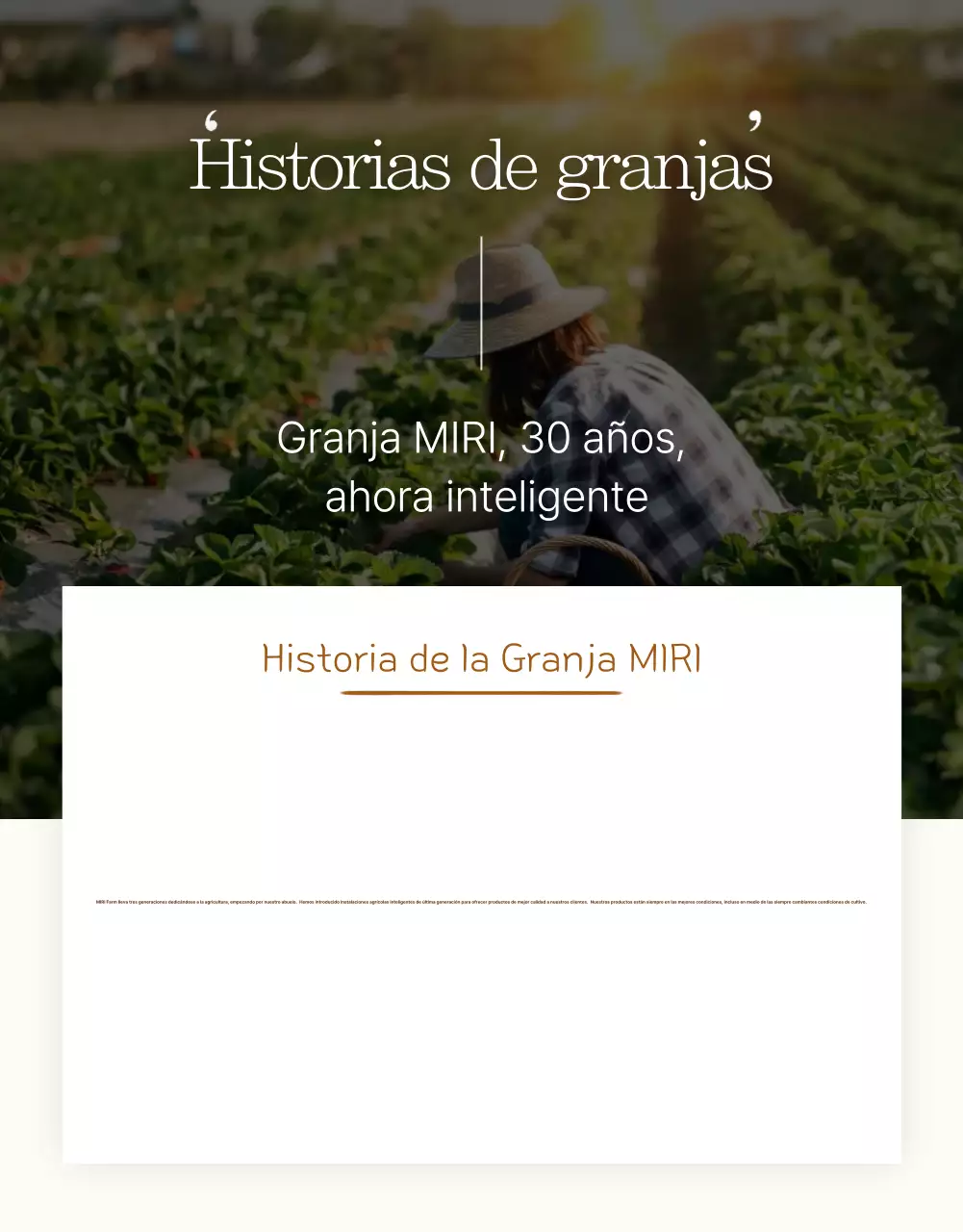 Anuncio de productos tradicionales marrones