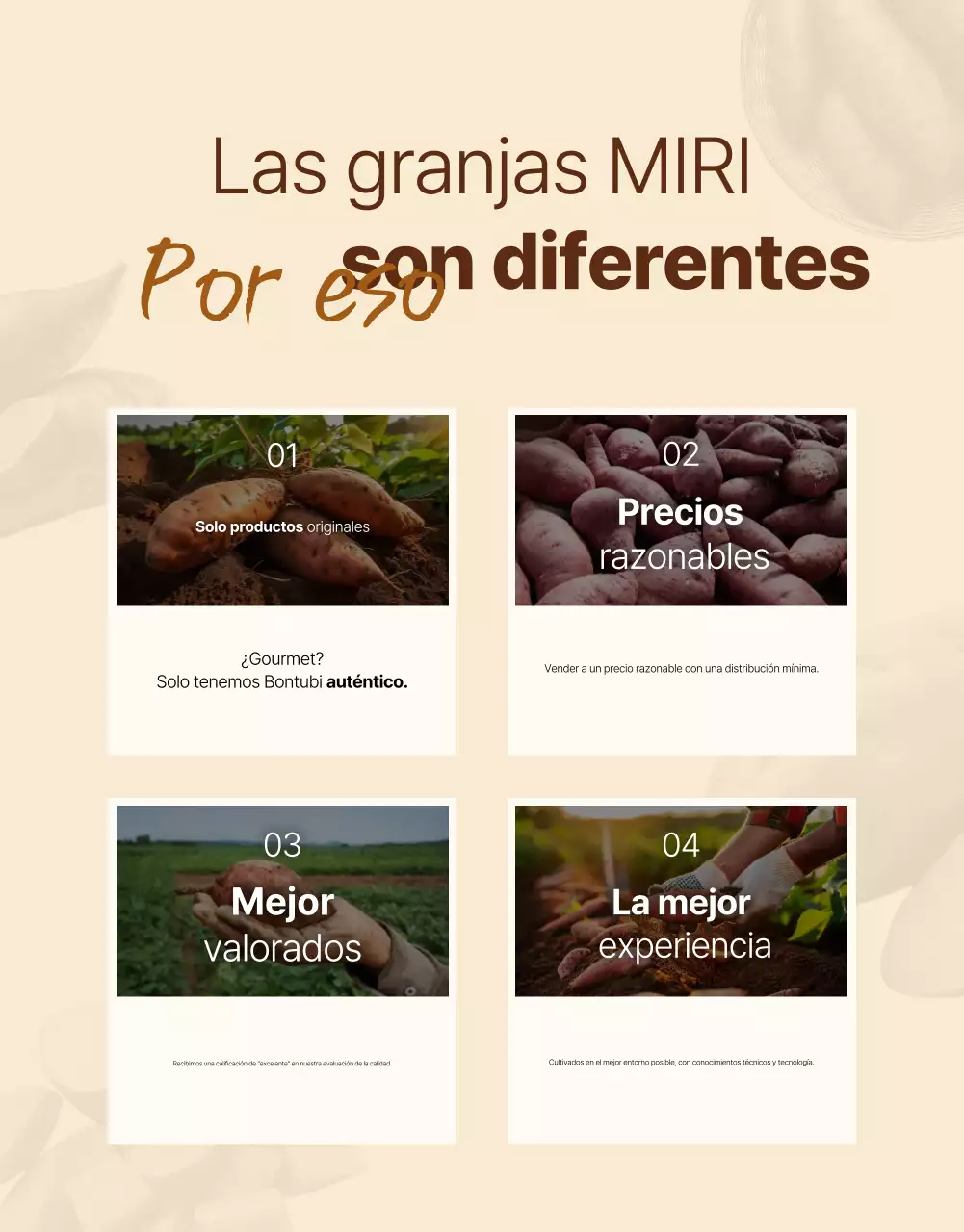 Anuncio de productos tradicionales marrones