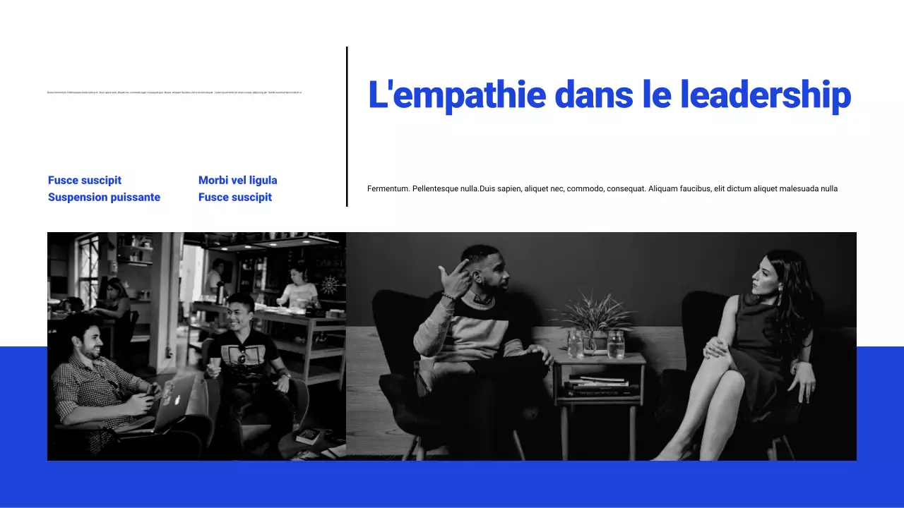 Présentation du webinaire blanc et bleu