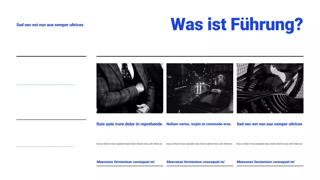 Weiß-blaue Webinar-Präsentation
