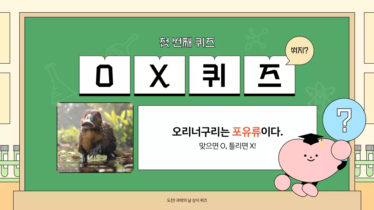 연두 아기자기한 과학 행사