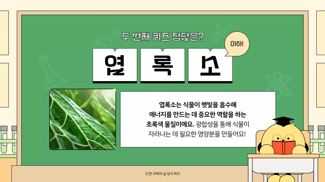 연두 아기자기한 과학 행사