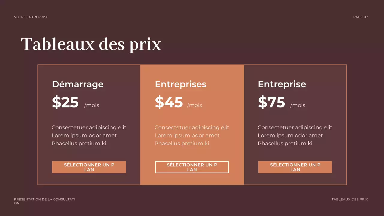 brown professional legal presentation