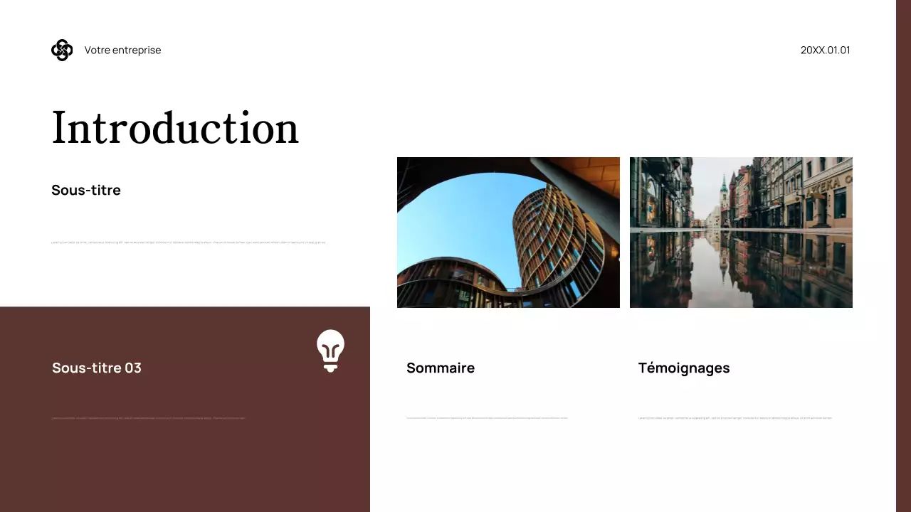 Guide juridique professionnel Marron