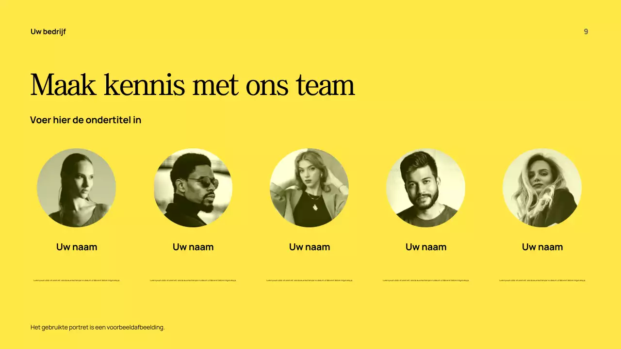 Gele moderne adviesgids