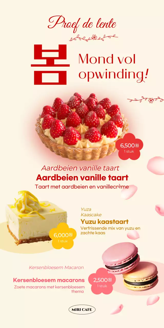 Beige Baby Dessert Promotie