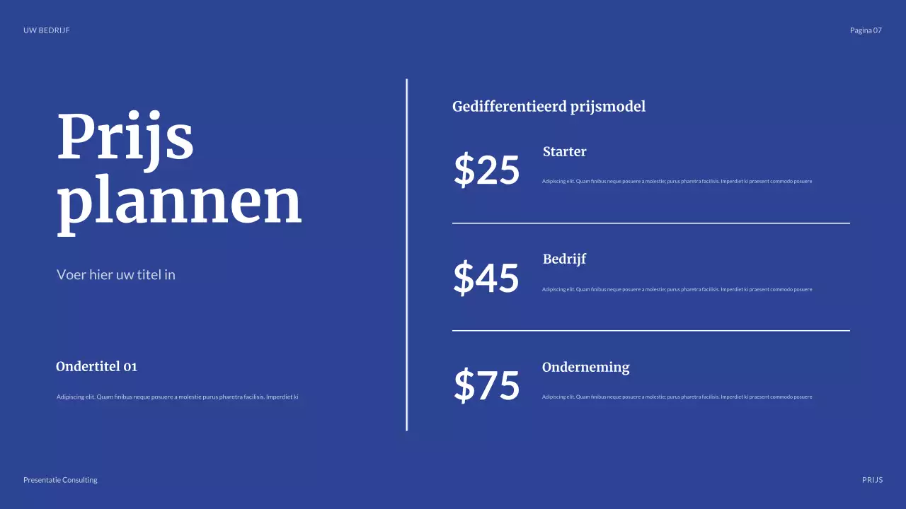 blauwe moderne zakelijke presentatie