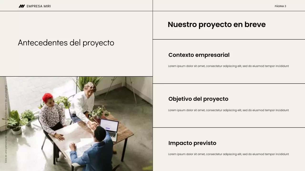 Presentación de la reunión de lanzamiento del proyecto Beige y Negro