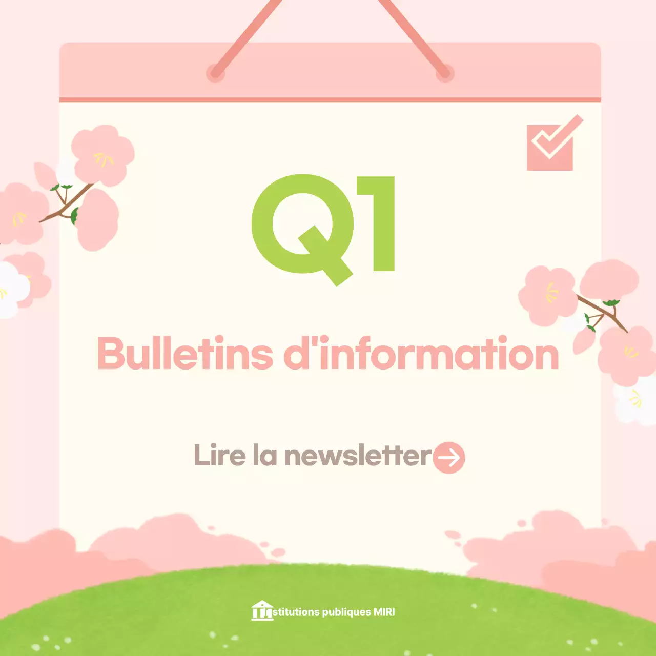 Guide de la newsletter Green Baby