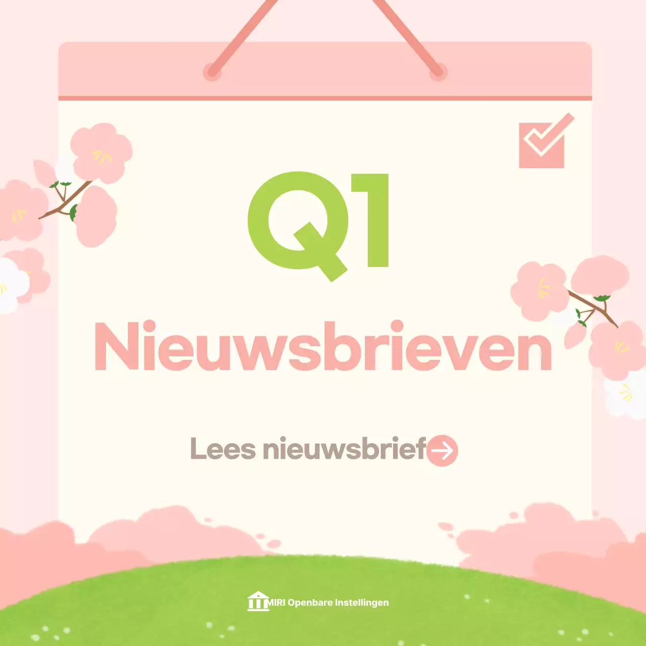 Groene Baby Nieuwsbrief Gids