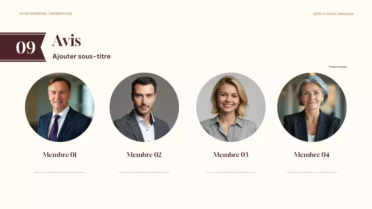 guide juridique classique marron