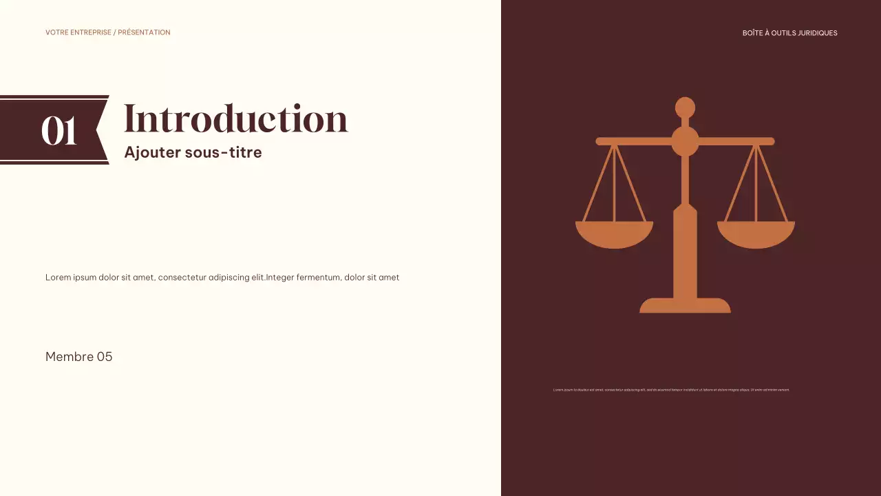 guide juridique classique marron