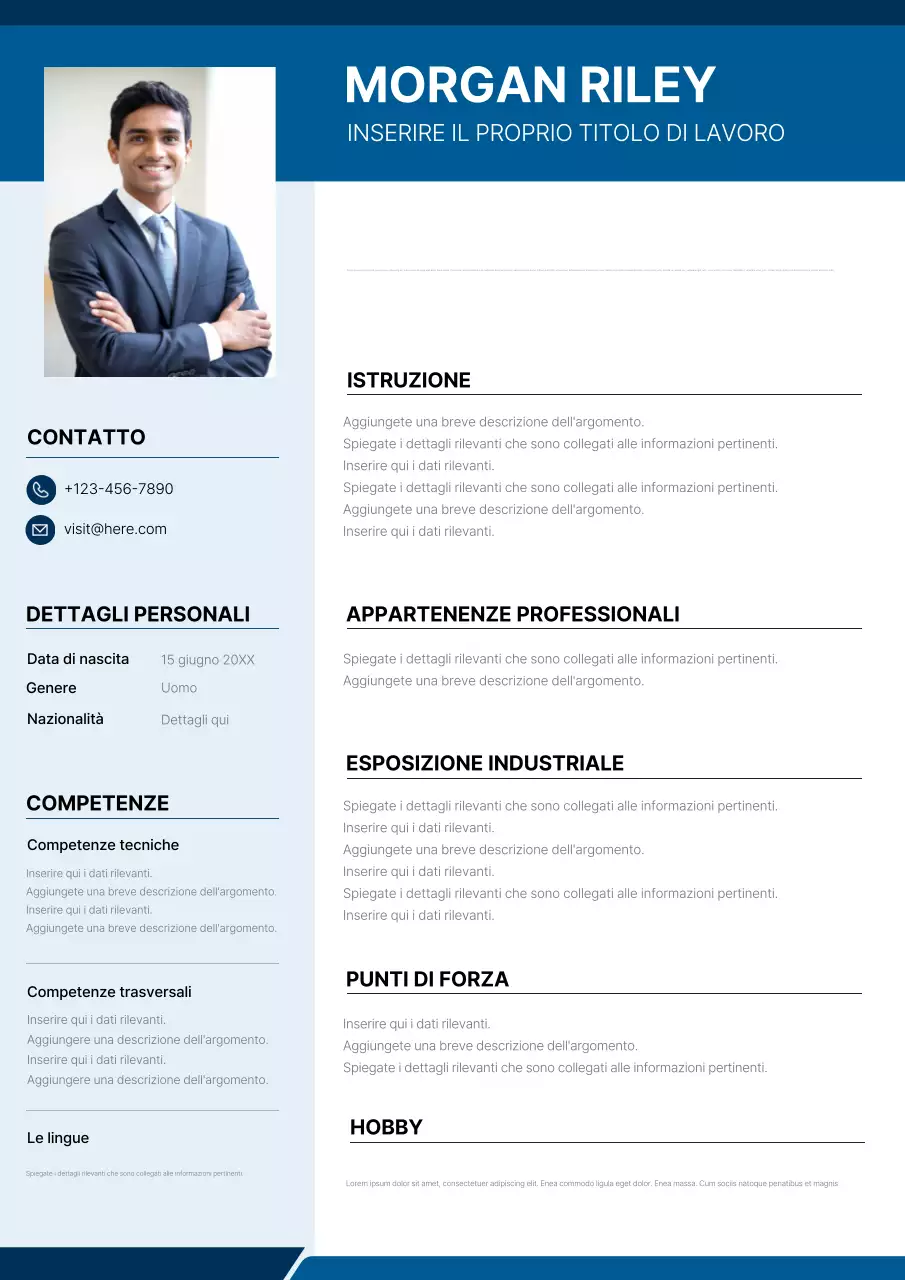 Design del curriculum professionale blu