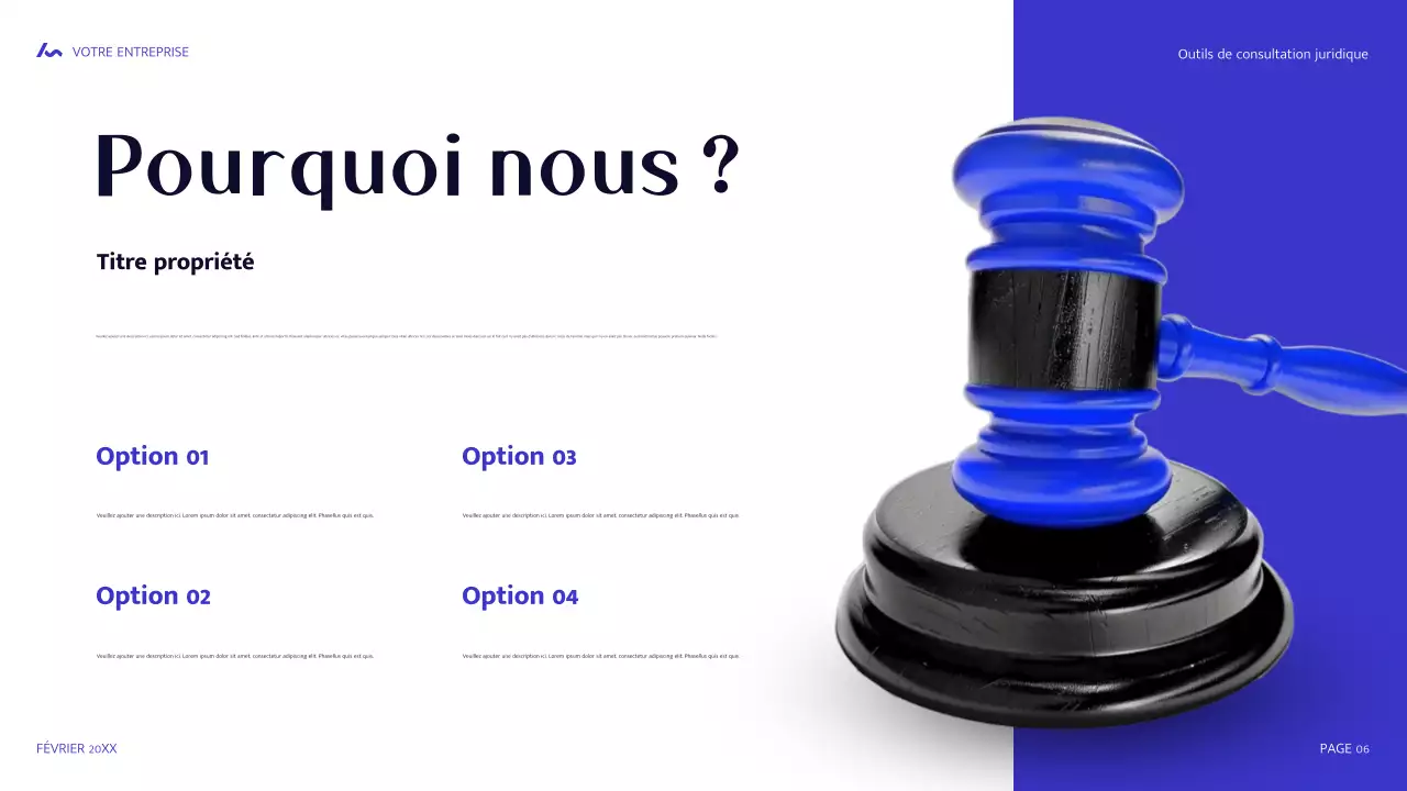 guide juridique moderne bleu