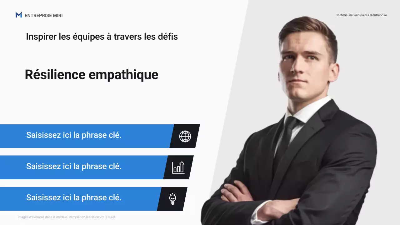 Présentation promotionnelle du webinaire professionnel Blue Professional