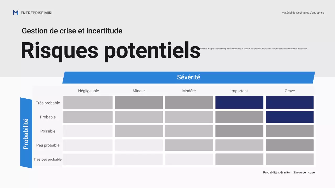 Présentation promotionnelle du webinaire professionnel Blue Professional