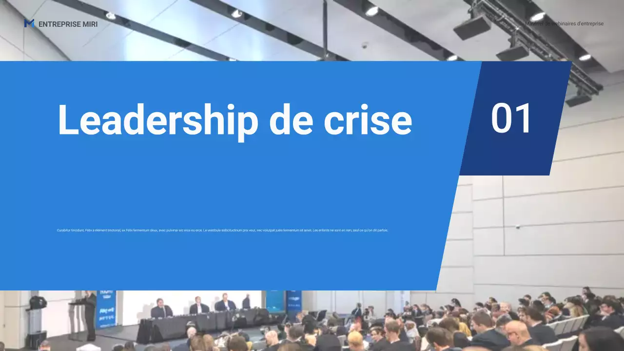 Présentation promotionnelle du webinaire professionnel Blue Professional