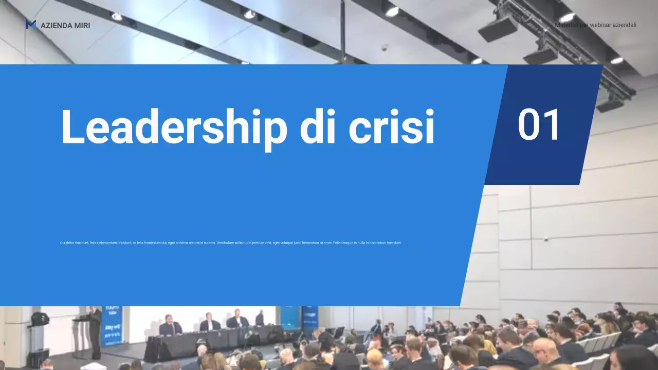 Presentazione promozionale del webinar aziendale Blue Professional