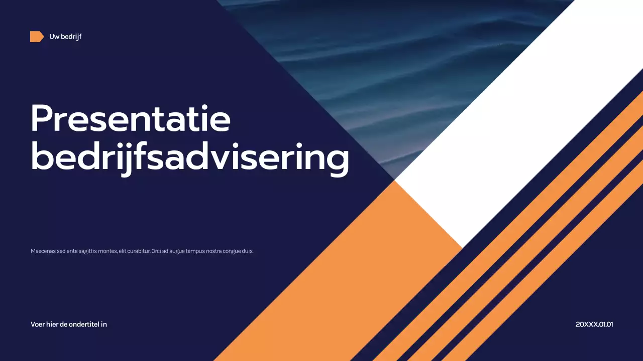 Marine Geometrische Zakelijke Presentatie