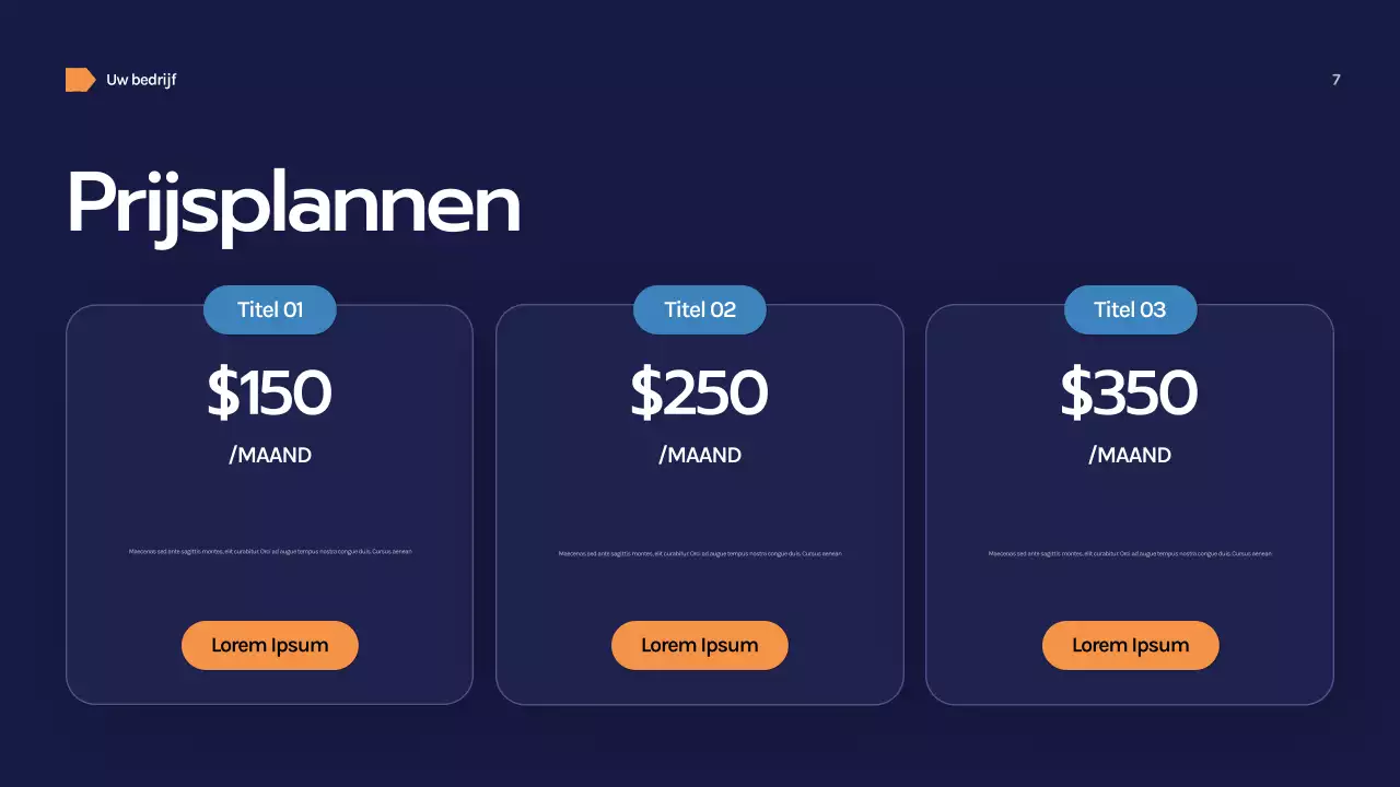 Marine Geometrische Zakelijke Presentatie