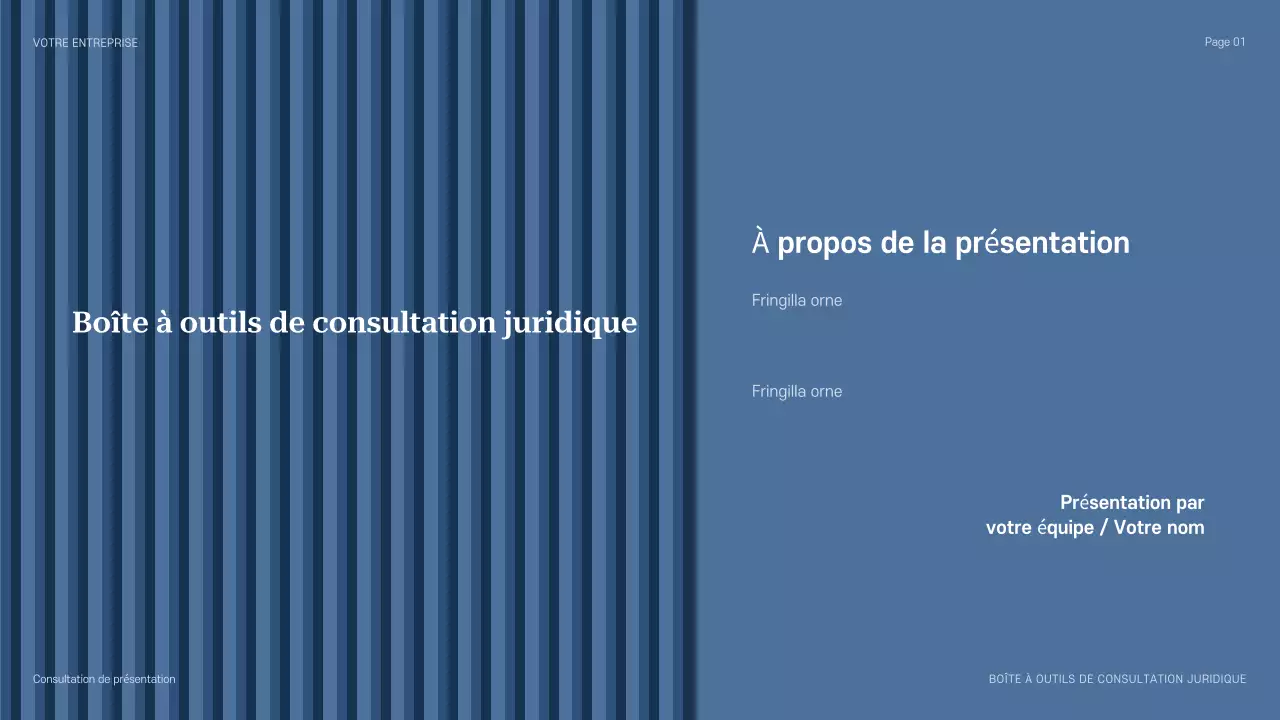 présentation de conseil professionnel bleu