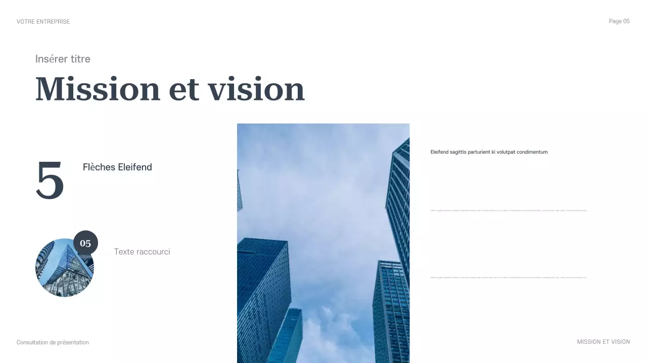 présentation de conseil professionnel bleu