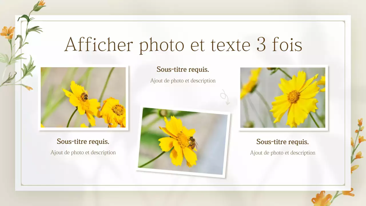 Présentation de fleurs printanières simples et jaunes