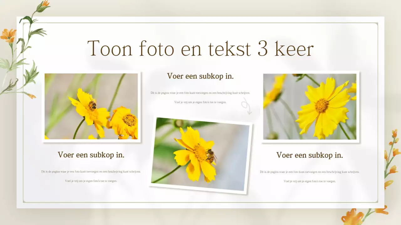 Gele eenvoudige lentebloempresentatie