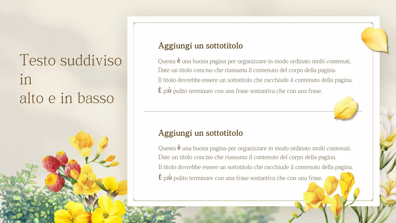 Presentazione di fiori primaverili semplici gialli