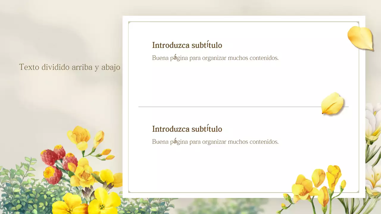 Presentación de flores de primavera sencillas de color amarillo