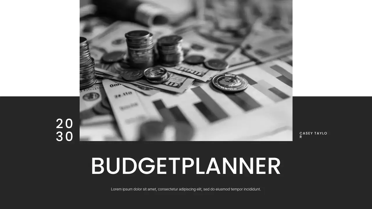 Minimalistische grijswaarden budgetplanner presentatie