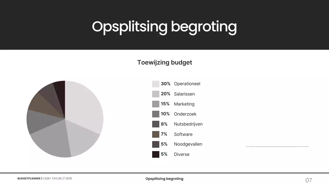 Minimalistische grijswaarden budgetplanner presentatie