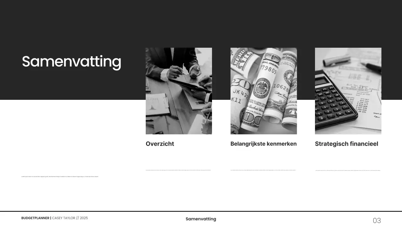 Minimalistische grijswaarden budgetplanner presentatie