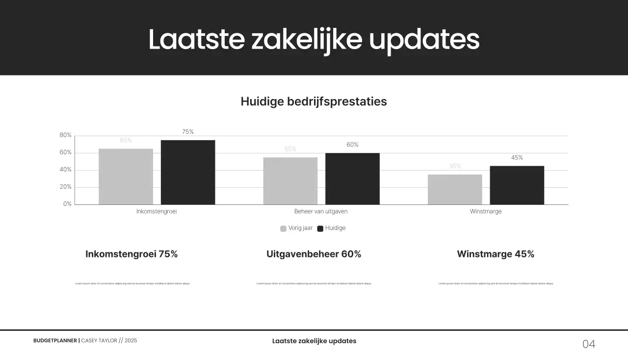 Minimalistische grijswaarden budgetplanner presentatie