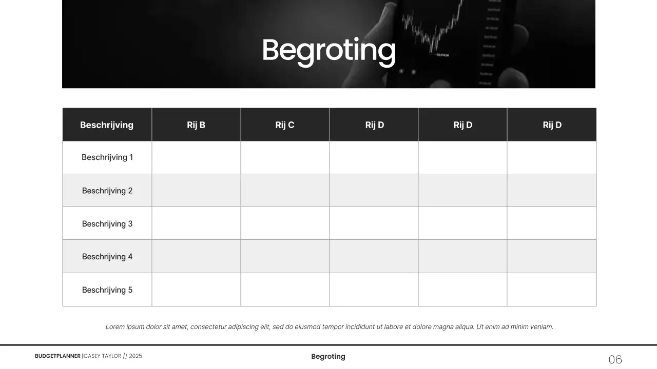 Minimalistische grijswaarden budgetplanner presentatie