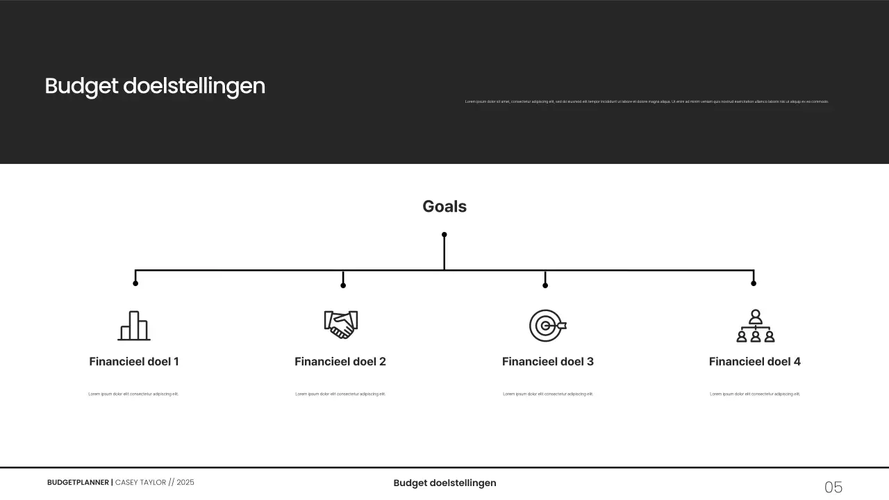 Minimalistische grijswaarden budgetplanner presentatie