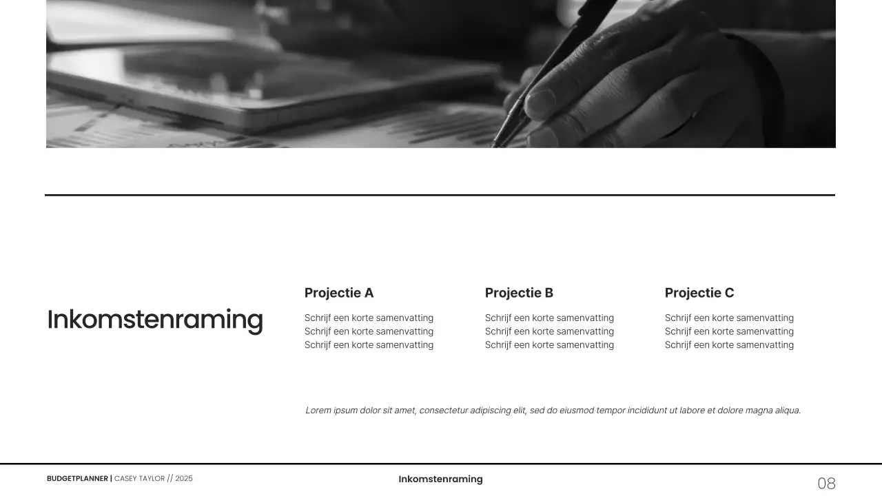 Minimalistische grijswaarden budgetplanner presentatie