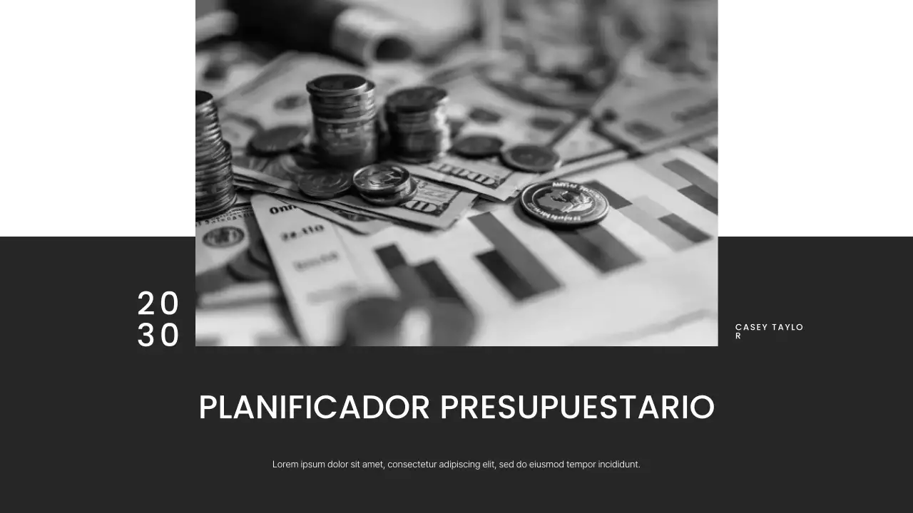 Presentación del planificador de presupuesto minimalista en escala de grises