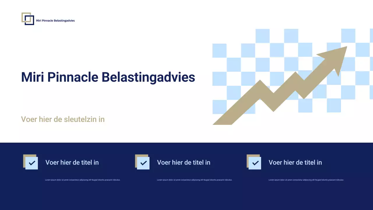 Blue Professional Tax Consulting Promotie Presentatie
